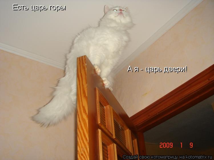Котоматрица: Есть царь горы А я - царь двери!