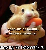 Котоматрица: Подальше положишь,  поближе возьмешь!