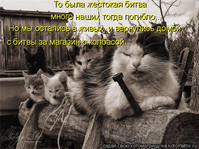 Котоматрица: То была жестокая битва много наших тогда погибло... Но мы остались в живых, и вернулись домой с битвы за магазин с колбасой.