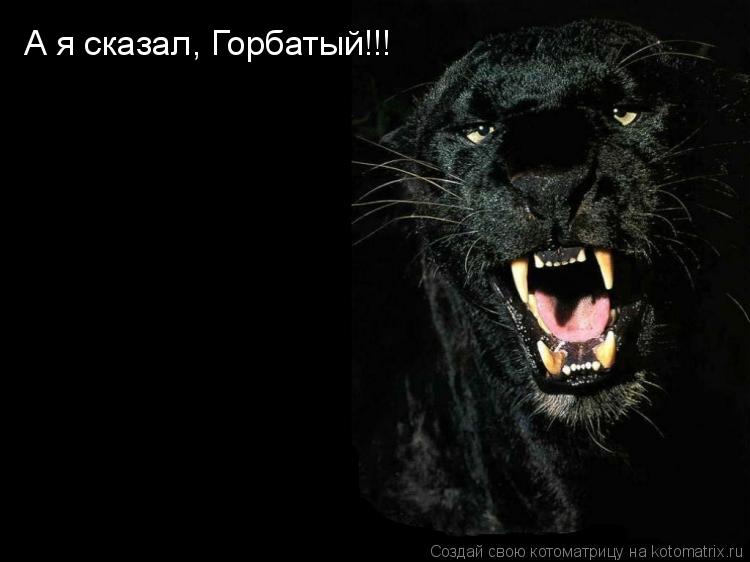Котоматрица: А я сказал, Горбатый!!!