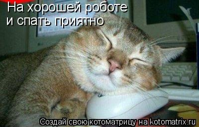 Котоматрица: На хорошей роботе и спать приятно