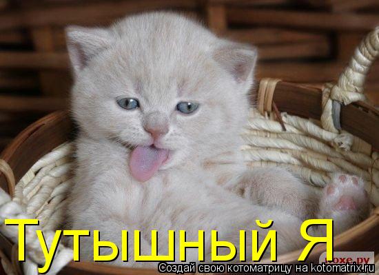 Котоматрица: Тутышный Я