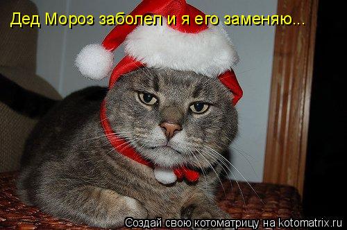 Котоматрица: Дед Мороз заболел и я его заменяю...