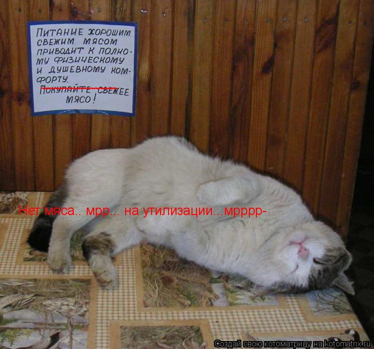 ----------------- ----------------- Нет мяса.. мрр... на утилизации...мрррр-... Котоматрица: ----------------- ----------------- Нет мяса.. мрр... на утилизации...мрррр-
