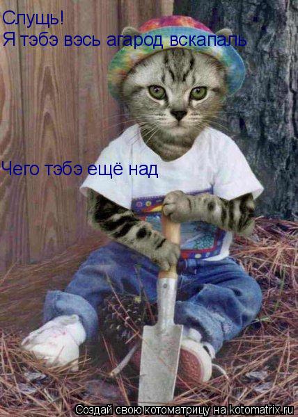 Слущь! Я тэбэ вэсь агарод вскапаль Чего тэбэ ещё над... Котоматрица: Слущь! Я тэбэ вэсь агарод вскапаль Чего тэбэ ещё над