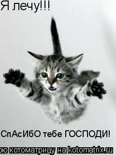 Котоматрица: Я лечу!!! СпАсИбО тебе ГОСПОДИ!