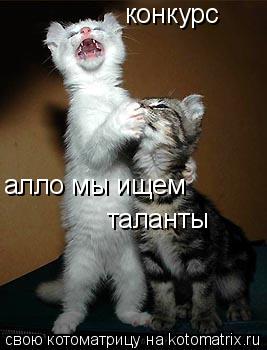 Котоматрица: конкурс алло мы ищем таланты