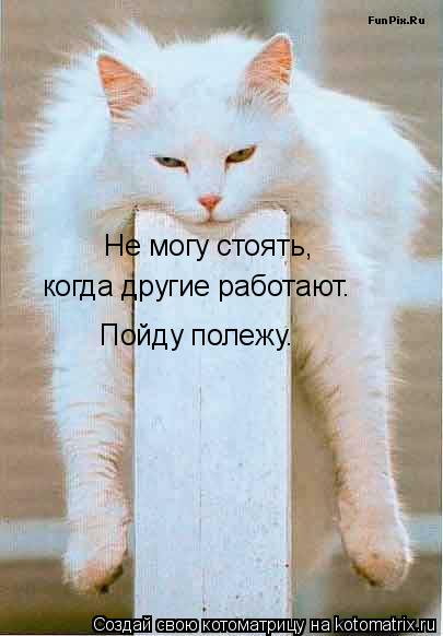 Не могу стоять, когда другие работают. Пойду полежу.... Котоматрица: Не могу стоять, когда другие работают. Пойду полежу.