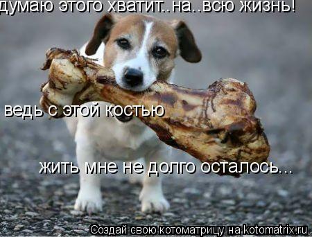 Котоматрица: думаю этого хватит..на..всю жизнь! ведь с этой костью жить мне не долго осталось...