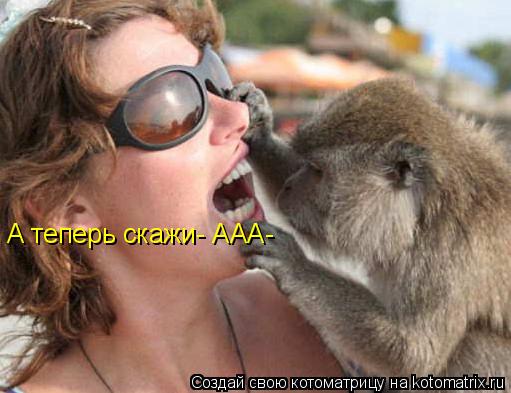 Котоматрица: А теперь скажи- ААА-