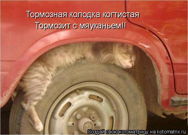 Котоматрица: Тормозная колодка когтистая Тормозит с мяуканьем!!