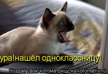 Котоматрица: ура!нашёл одноклассницу!