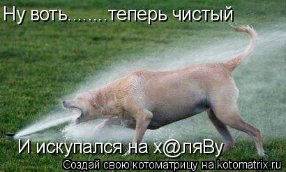 Котоматрица: Ну воть........теперь чистый И искупался на х@ляВу