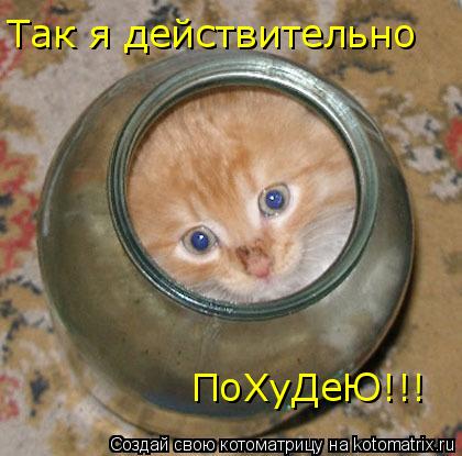 Котоматрица: Так я действительно ПоХуДеЮ!!!