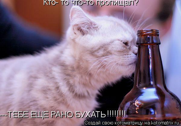 ---ТЕБЕ ЕЩЕ РАНО БУХАТЬ Кто- то что-то пропищал? !!!!!!!!... Котоматрица: ---ТЕБЕ ЕЩЕ РАНО БУХАТЬ Кто- то что-то пропищал? !!!!!!!!