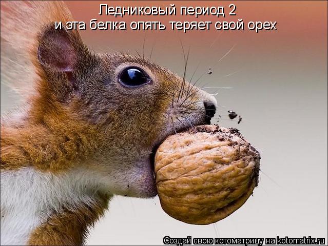 Ледниковый период 2 и эта белка опять теряет свой орех... Котоматрица: Ледниковый период 2 и эта белка опять теряет свой орех