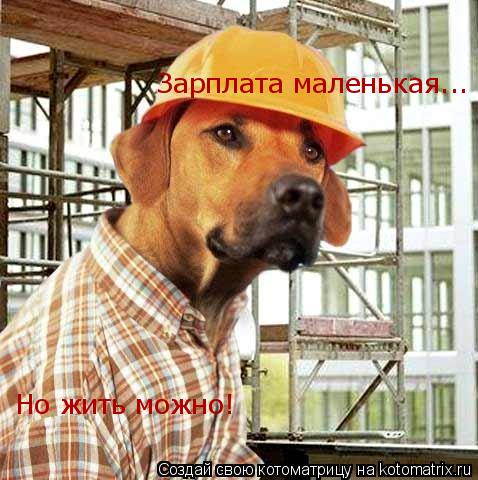 Котоматрица: Зарплата маленькая... Но жить можно!