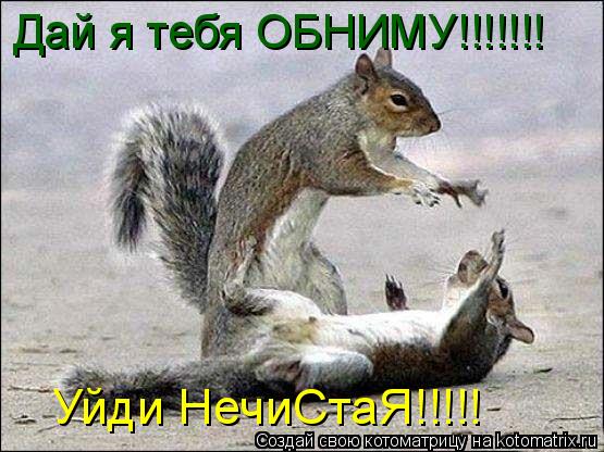 Котоматрица: Дай я тебя ОБНИМУ!!!!!!! Уйди НечиСтаЯ!!!!!