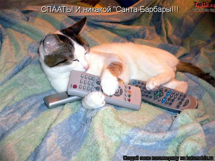 СПААТЬ! И никакой "Санта-Барбары!!!... Котоматрица: СПААТЬ! И никакой "Санта-Барбары!!!
