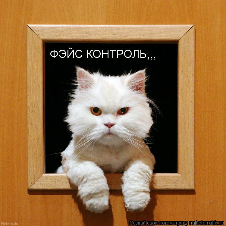 ФЭЙС КОНТРОЛЬ,,,... Котоматрица: ФЭЙС КОНТРОЛЬ,,,