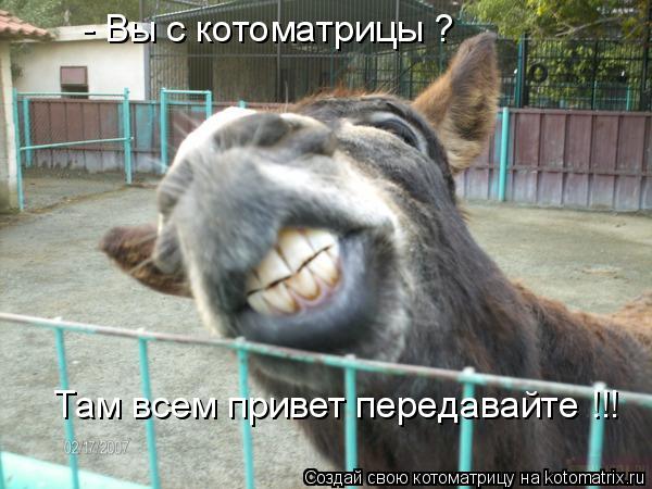 - Вы с котоматрицы ? Там всем привет передавайте !!!... Котоматрица: - Вы с котоматрицы ? Там всем привет передавайте !!!