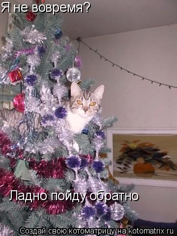 Котоматрица: Я не вовремя? Ладно пойду обратно