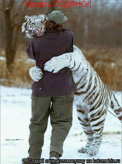 Кушать ПОДАНО!!... Котоматрица: Кушать ПОДАНО!!