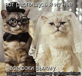Котоматрица: вот распишусь я из неё все соки выжму