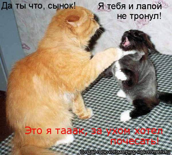 Котоматрица: Да ты что, сынок! Я тебя и лапой  не тронул! Это я тааак, за ухом хотел  почесать!