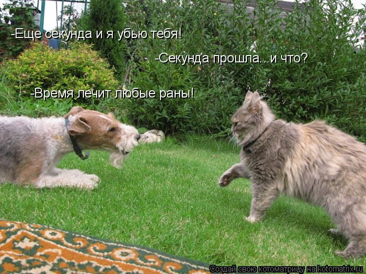 -Еще секунда и я убью тебя! -Секунда прошла...и что? -Время лечит любые раны!... Котоматрица: -Еще секунда и я убью тебя! -Секунда прошла...и что? -Время лечит любые раны!