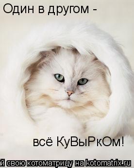 Котоматрица: Один в другом -  всё КуВыРкОм!