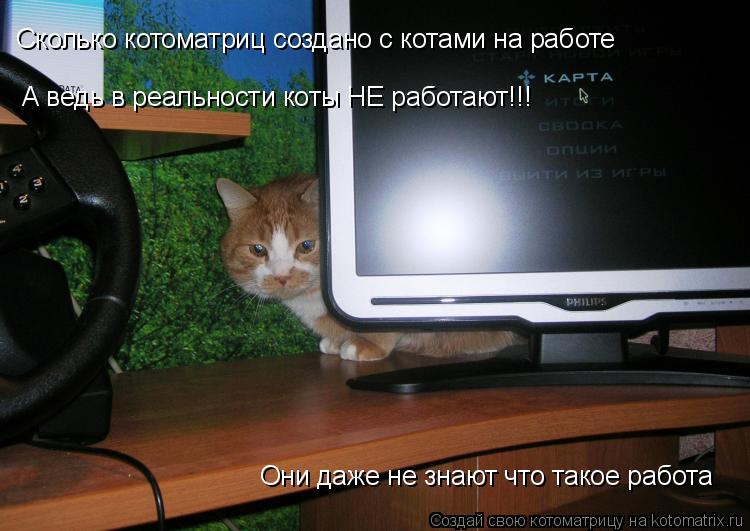 Котоматрица: Сколько котоматриц создано с котами на работе А ведь в реальности коты НЕ работают!!! Они даже не знают что такое работа