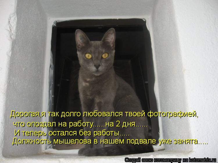 Котоматрица: Дорогая,я так долго любовался твоей фотографией, что опоздал на работу......на 2 дня...... И теперь остался без работы..... Должность мышелова в на
