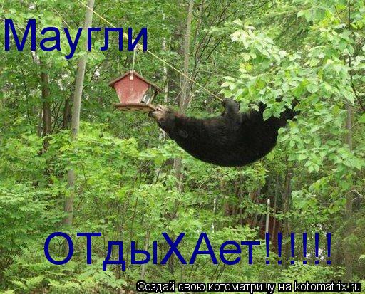 Котоматрица: Маугли  ОТдыХАет!!!!!!