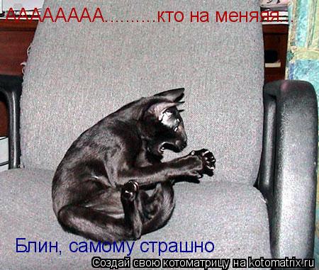 АААААААА..........кто на меняяя... Блин, самому страшно... Котоматрица: АААААААА..........кто на меняяя... Блин, самому страшно