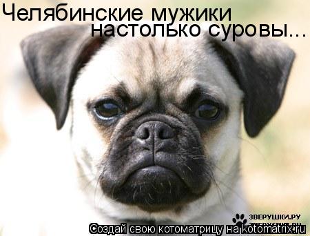 Челябинские мужики настолько суровы...... Котоматрица: Челябинские мужики настолько суровы...