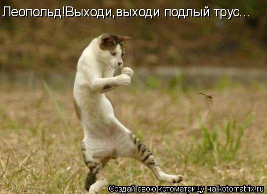Леопольд!Выходи,выходи подлый трус...... Котоматрица: Леопольд!Выходи,выходи подлый трус...