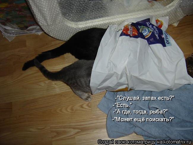 -"Слушай, запах есть?" -"Есть." -"А где, тогда, рыба?" -"Может ещё поискать?"... Котоматрица: -"Слушай, запах есть?" -"Есть." -"А где, тогда, рыба?" -"Может ещё поискать?"