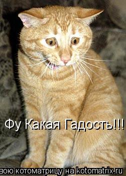 Фу Какая Гадость!!!... Котоматрица: Фу Какая Гадость!!!