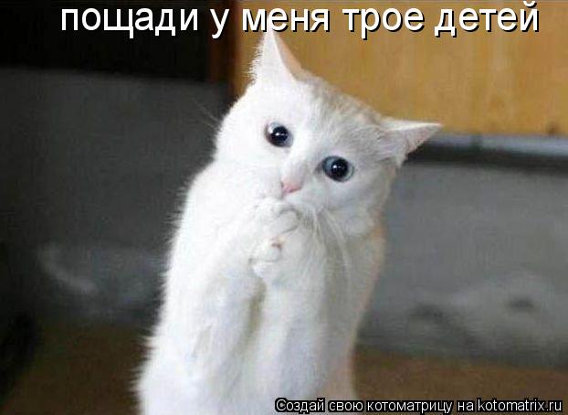 Котоматрица: пощади у меня трое детей