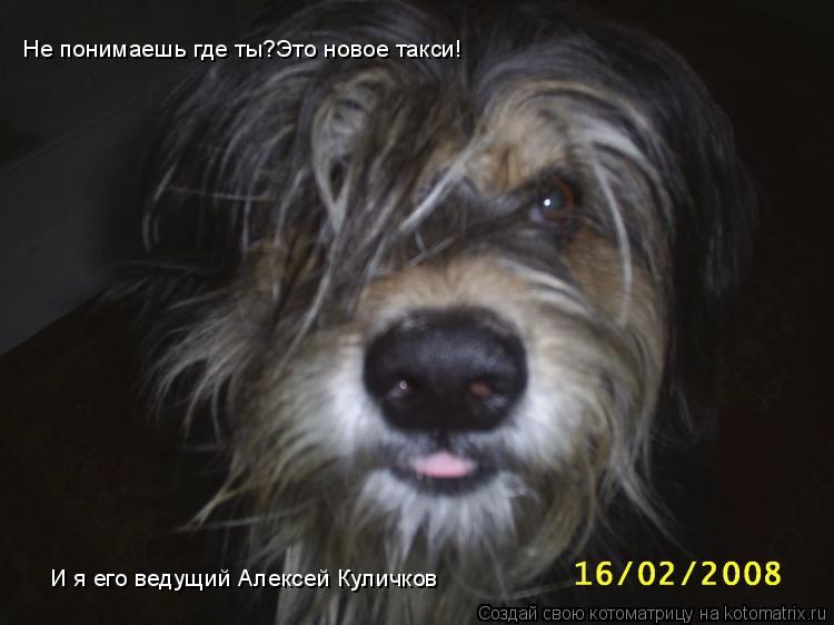Котоматрица: Не понимаешь где ты?Это новое такси! И я его ведущий Алексей Куличков