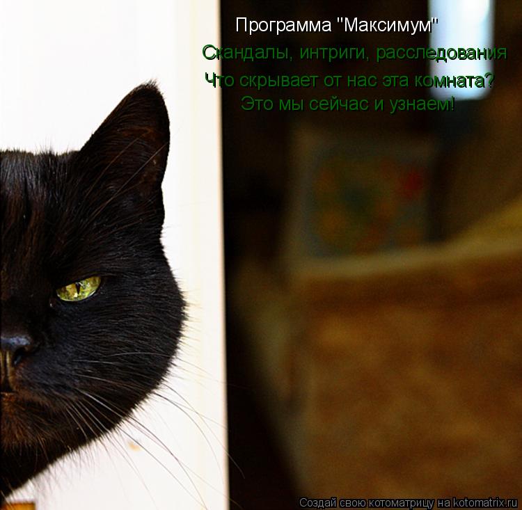 Котоматрица: Программа "Максимум" Скандалы, интриги, расследования Что скрывает от нас эта комната? Это мы сейчас и узнаем!