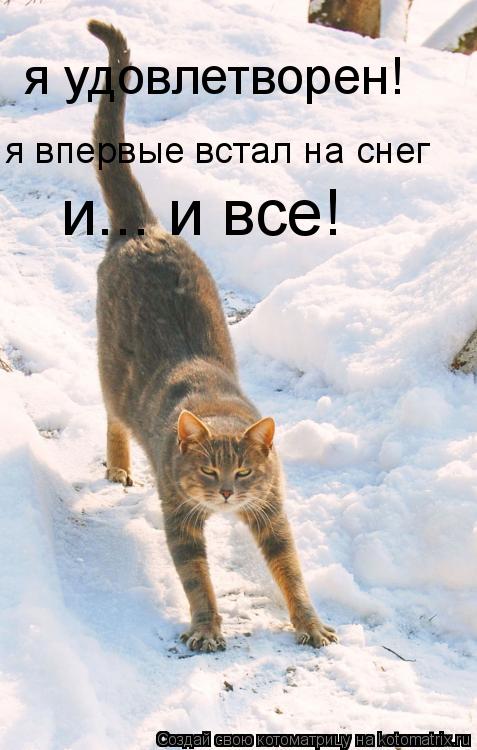 Котоматрица: я удовлетворен! я впервые встал на снег и... и все!