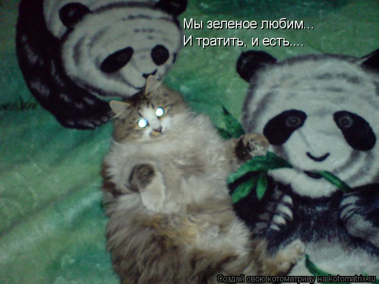 Котоматрица: Мы зеленое любим... И тратить, и есть....