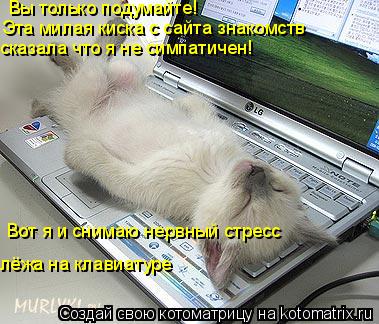 Котоматрица: Вы только подумайте! Эта милая киска с сайта знакомств сказала что я не симпатичен! Вот я и снимаю нервный стресс  лёжа на клавиатуре