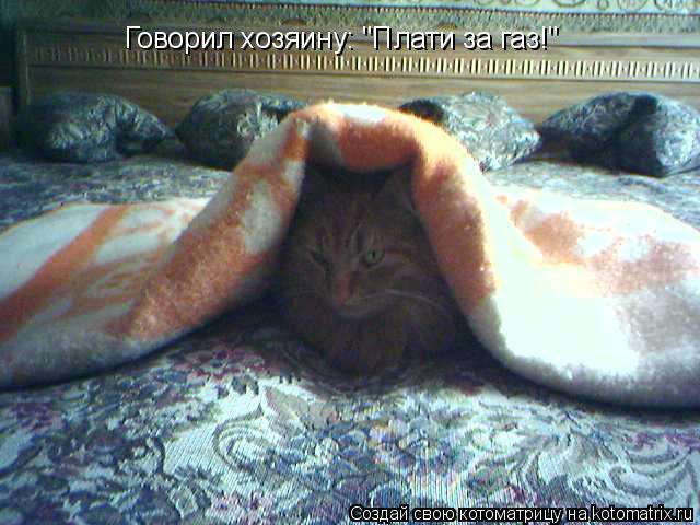 Котоматрица: Говорил хозяину: "Плати за газ!"