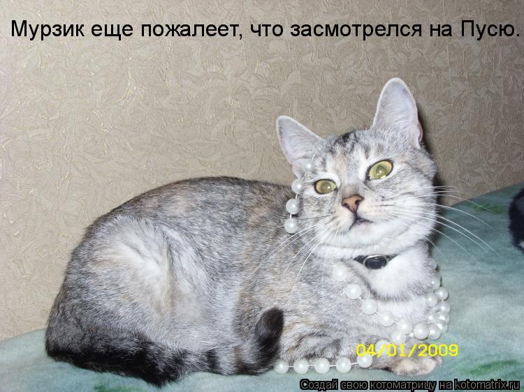 Котоматрица: Мурзик еще пожалеет, что засмотрелся на Пусю.