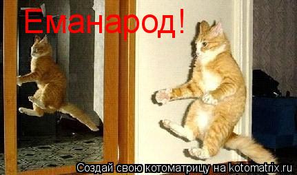Еманарод!... Котоматрица: Еманарод!
