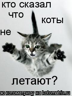 Котоматрица: кто сказал  что коты не летают?