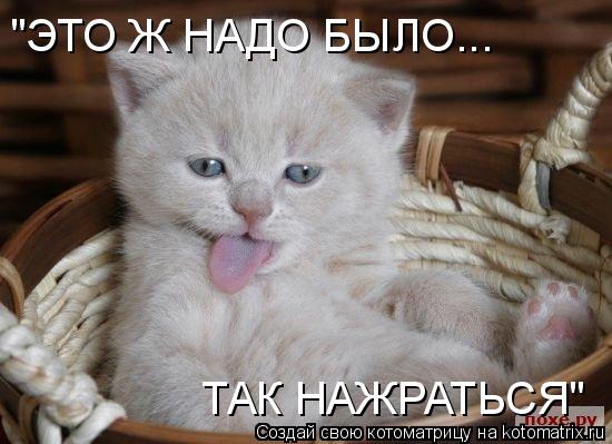 "ЭТО Ж НАДО БЫЛО... ТАК НАЖРАТЬСЯ"... Котоматрица: "ЭТО Ж НАДО БЫЛО... ТАК НАЖРАТЬСЯ"